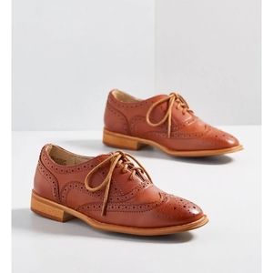 NEW Talking Picture Oxford Flat